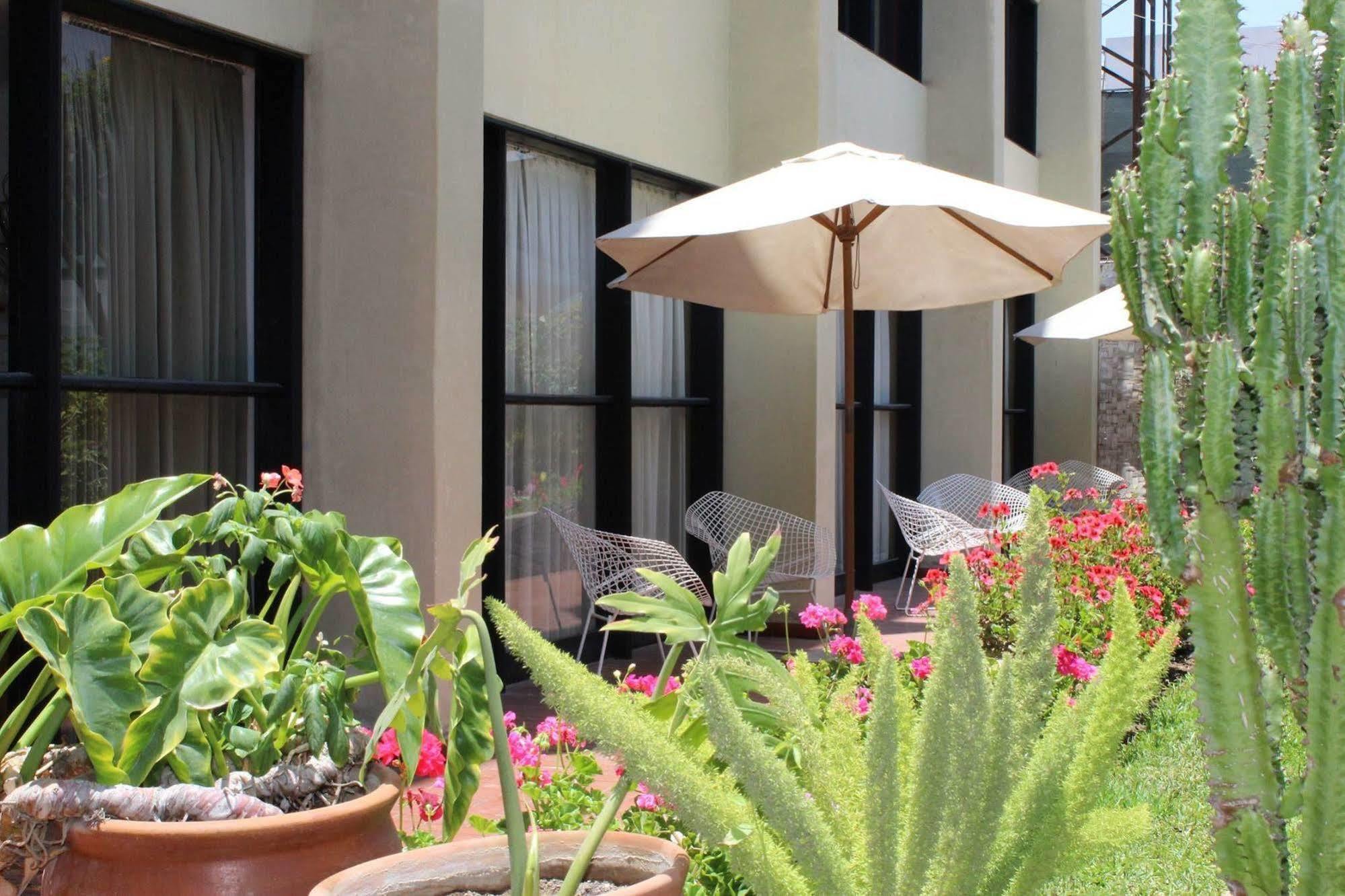 Holiday Suites Tacna Esterno foto